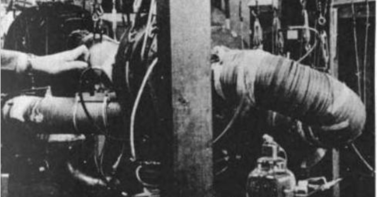 Lyman Spitzer Jr. *38 and The Ultimate Energy Source